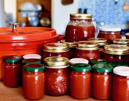 My simple tomato sauce