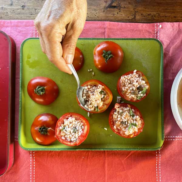 Stuffed tomatoes