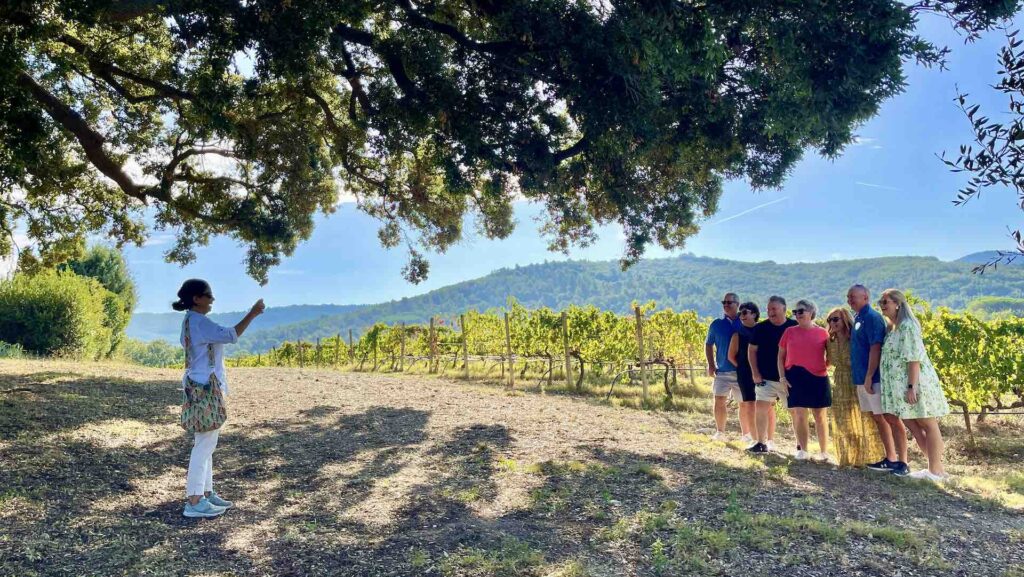 Chicca's Food & Wine Trips - Join us in May 2024 🇮🇹