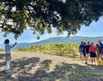 Chicca's Food & Wine Trips - Join us in May 2024 🇮🇹