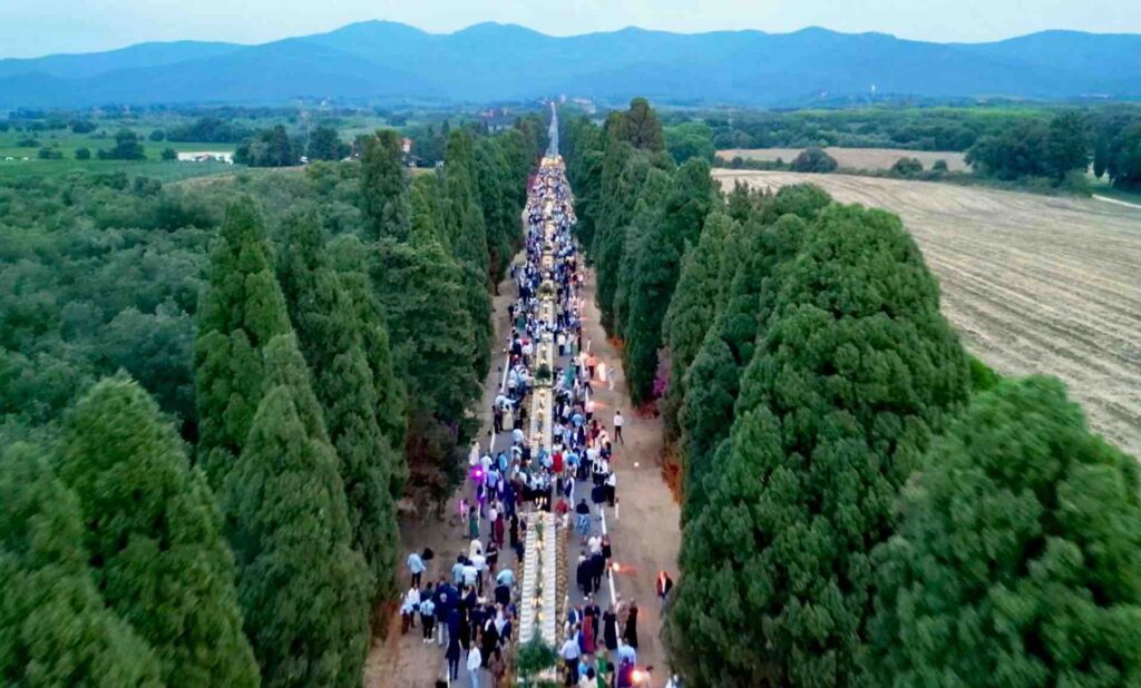 Life, Love & Recipes from My Tuscan Kitchen | September 2024